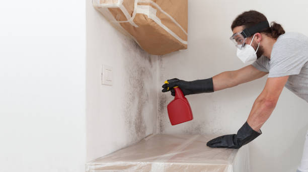 Professional Bathroom Mold Removal technician working in Mont Clare, PA