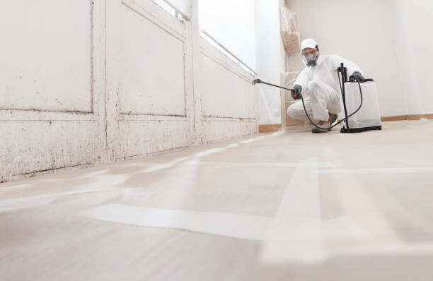 24/7 Emergency Bathroom Mold Removal experts in Mont Clare, PA